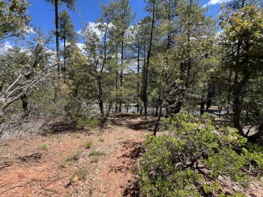 LOT 19 STRAWBERRY HOLLOW, PINE, AZ 85544, photo 5 of 8