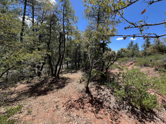 LOT 19 STRAWBERRY HOLLOW, PINE, AZ 85544, photo 4 of 8