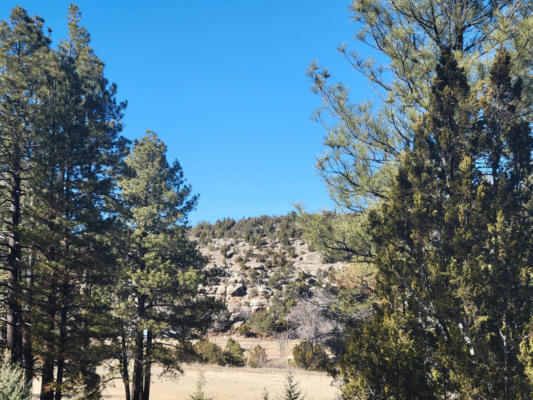 1748 MEMORIAL PARK RD, HEBER, AZ 85928 - Image 1