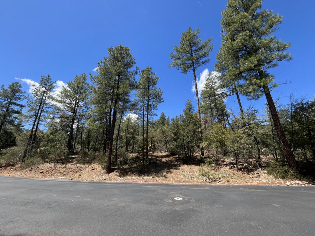 LOT 19 STRAWBERRY HOLLOW, PINE, AZ 85544, photo 1 of 8