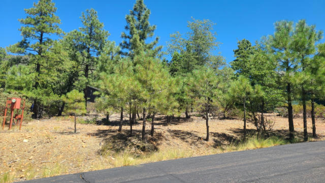 102 N SUNDOWN LANE, PINE, AZ 85544, photo 4 of 13