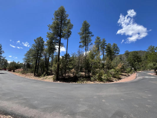 LOT 19 STRAWBERRY HOLLOW, PINE, AZ 85544, photo 2 of 8